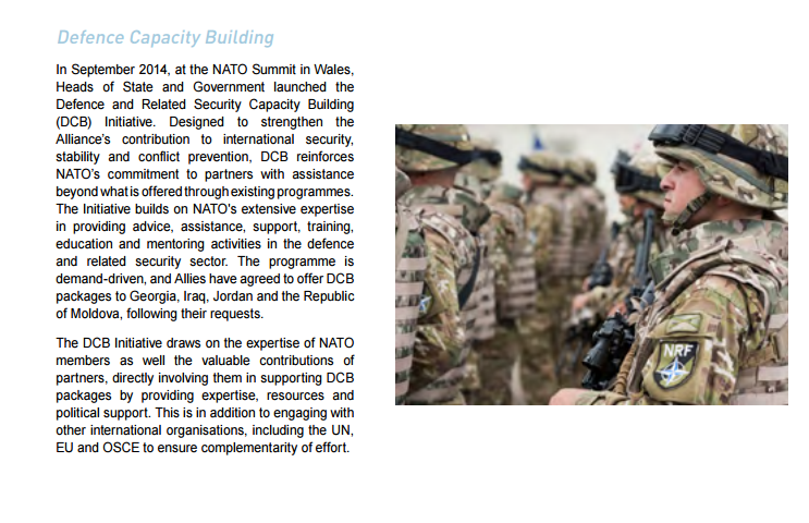 Defence Capacity Building: The Secretary General’s Annual Report 2015