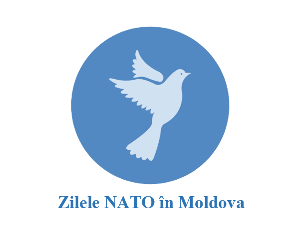 Lecție publică “Rolul NATO și al României în consolidarea securităţii și stabilităţii în regiunea Mării Negre“ la Cahul