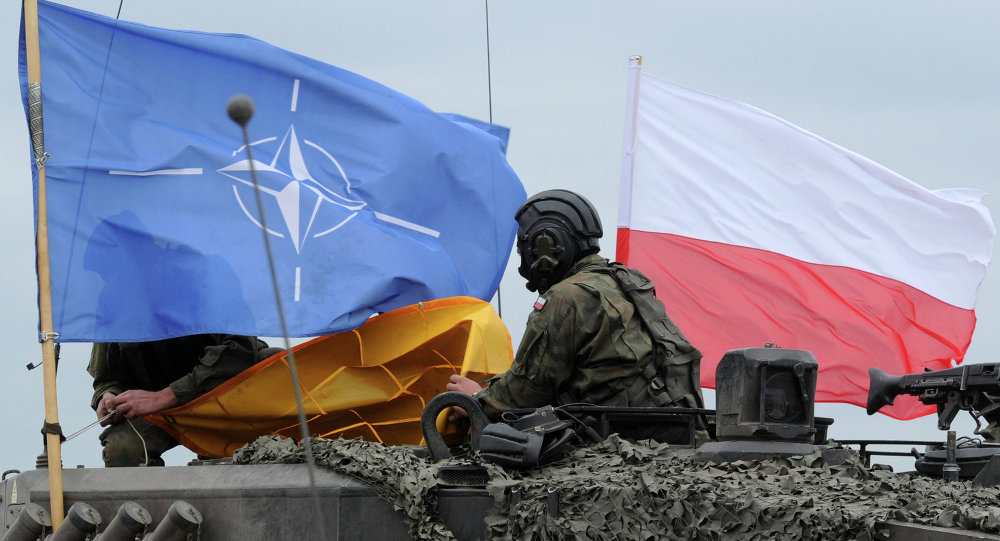 Lecție publică privind Cooperarea Republicii Polonia cu NATO în asigurarea securității regionale (Bălți)